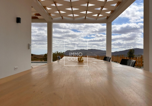 Nowy budynek - Villa - Pinoso