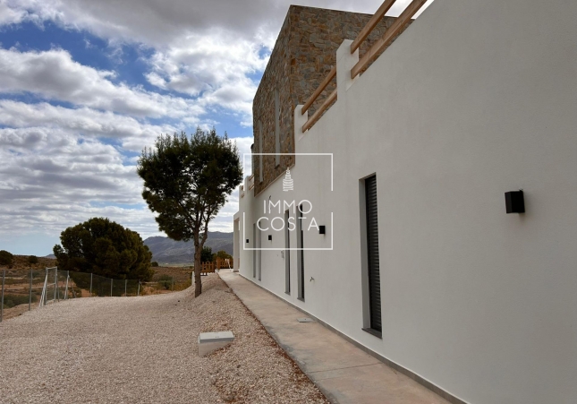 Nowy budynek - Villa - Pinoso