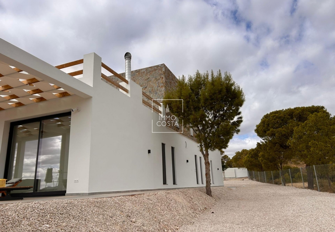 Nowy budynek - Villa - Pinoso