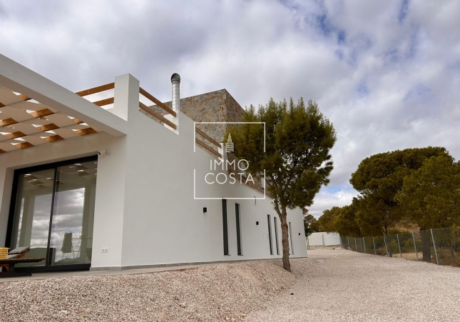 Nowy budynek - Villa - Pinoso