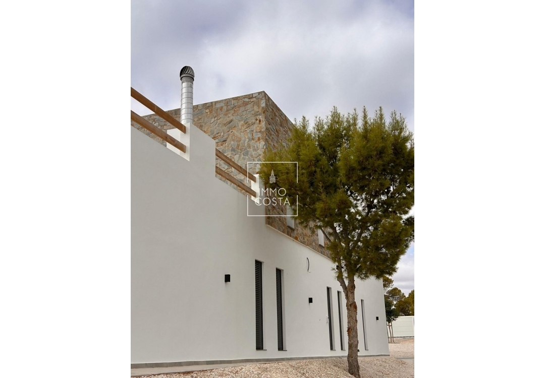 Nowy budynek - Villa - Pinoso
