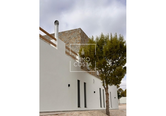 Nowy budynek - Villa - Pinoso