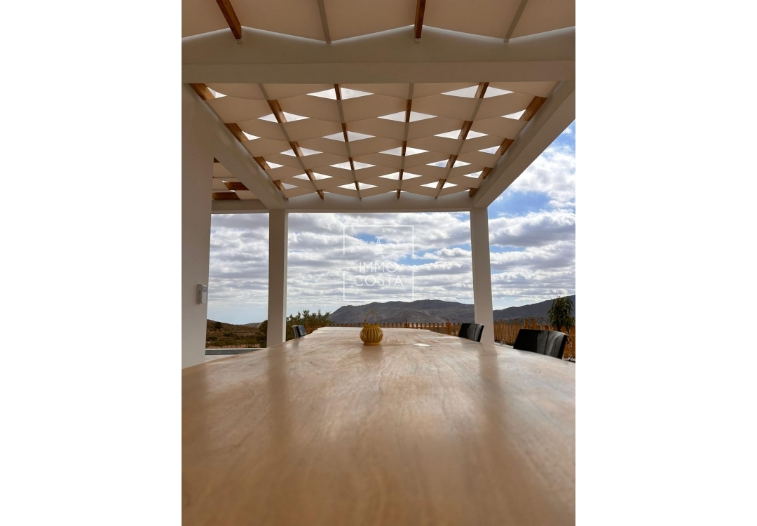Nowy budynek - Villa - Pinoso