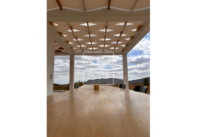 Nowy budynek - Villa - Pinoso