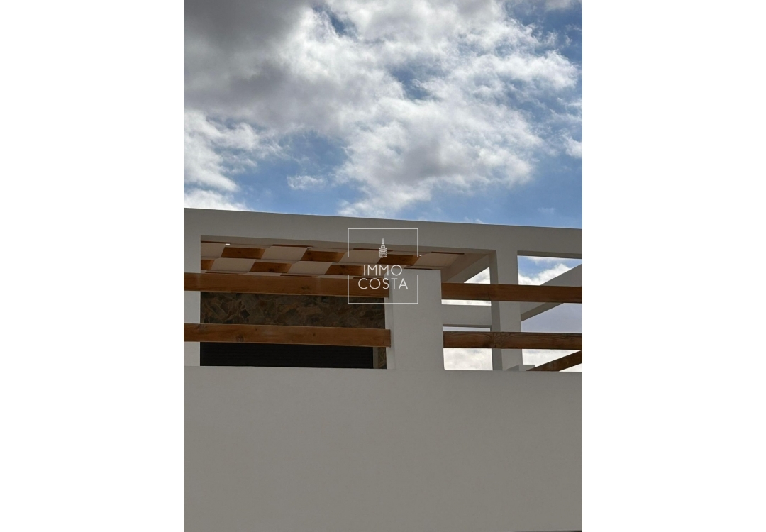 Nowy budynek - Villa - Pinoso