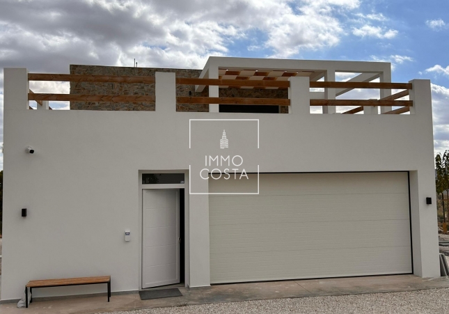 Nowy budynek - Villa - Pinoso