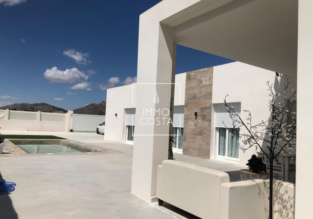 Новое здание - Villa - Pinoso