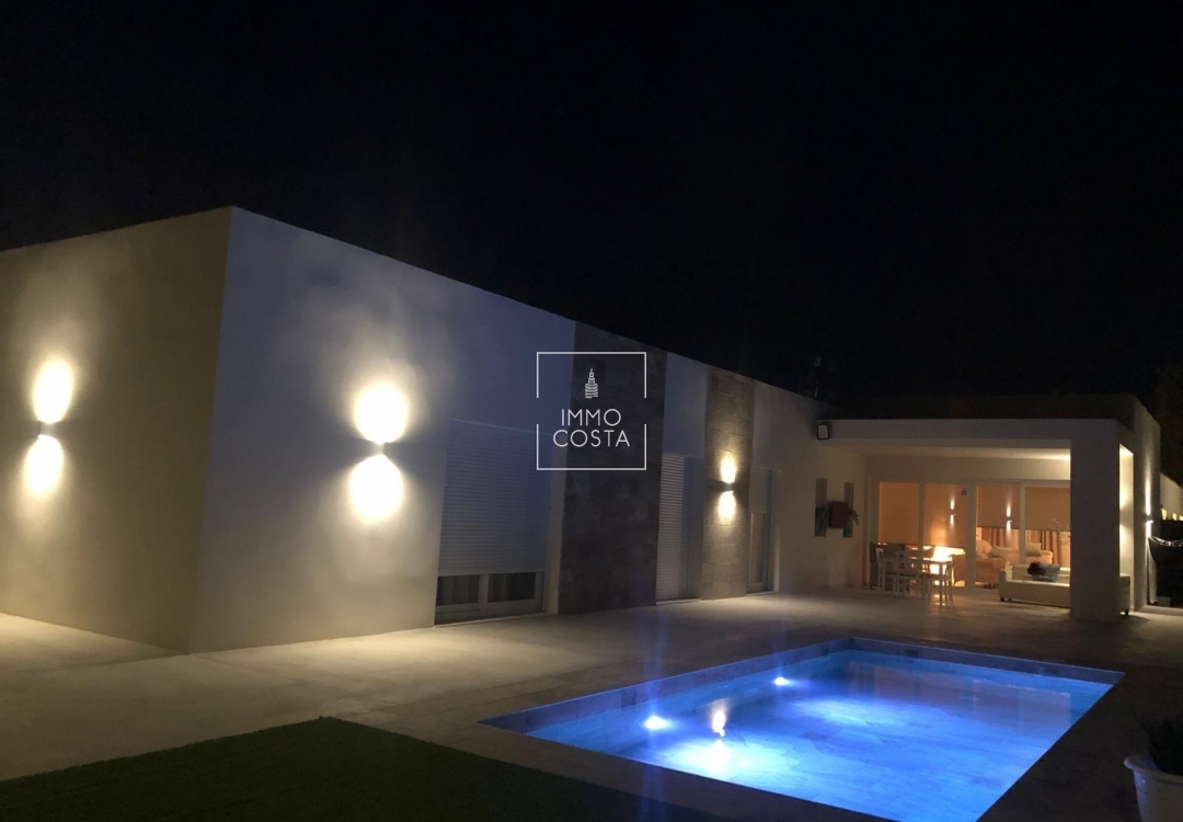 Новое здание - Villa - Pinoso