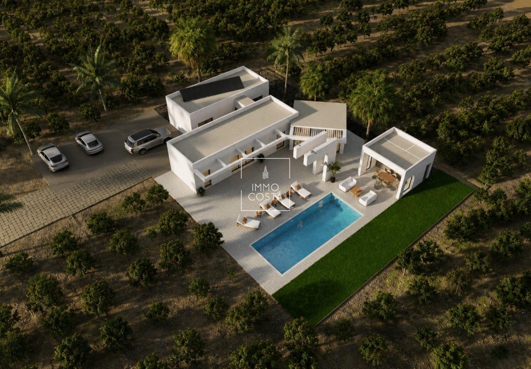 Obra nueva - Villa - Benejúzar