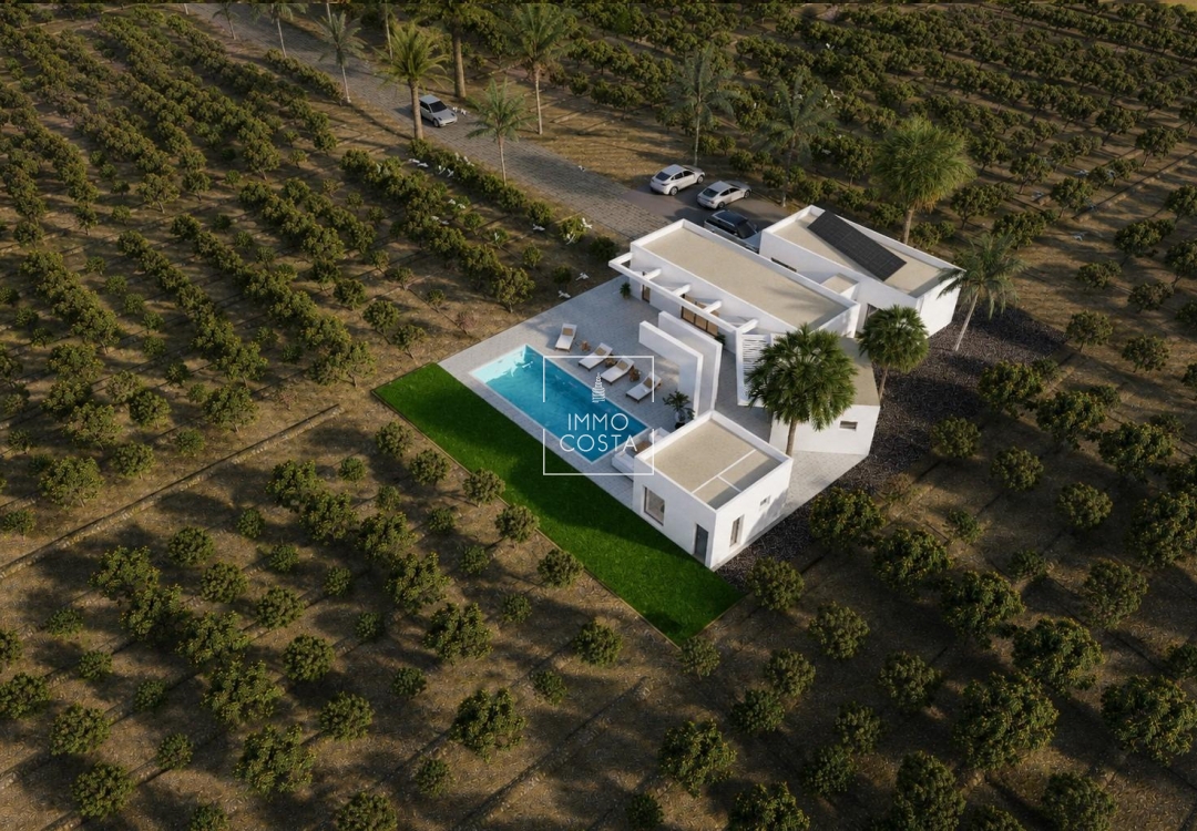 Obra nueva - Villa - Benejúzar