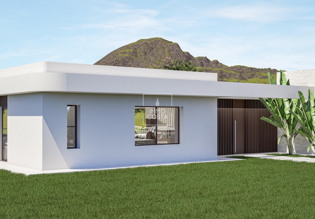 Nowy budynek - Villa - Pinoso