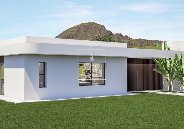 Nowy budynek - Villa - Pinoso