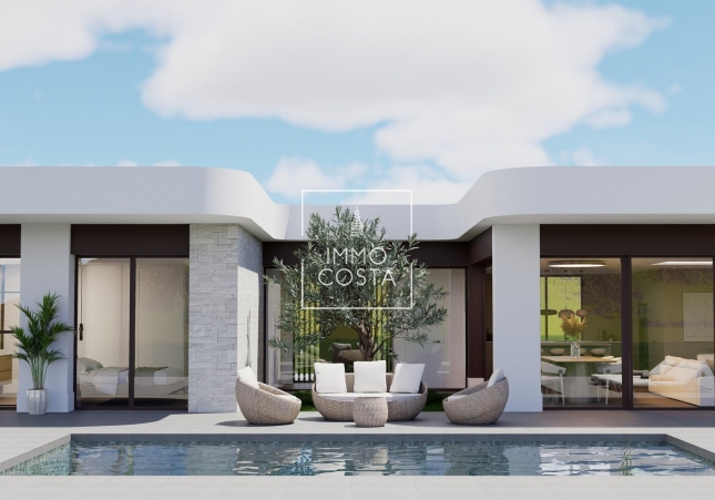 Nowy budynek - Villa - Pinoso