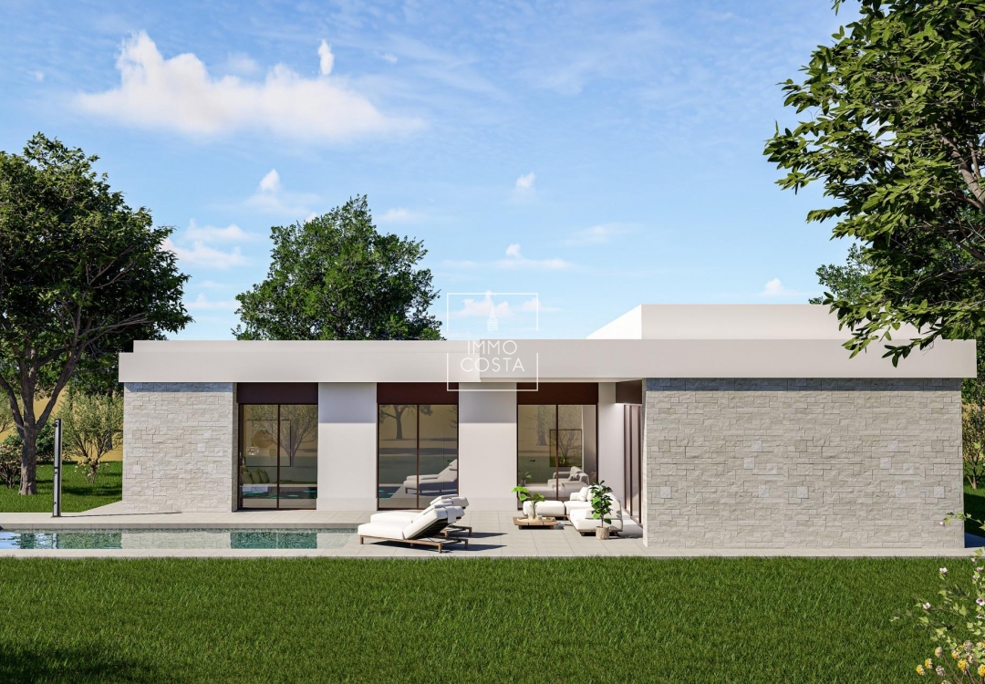Новое здание - Villa - Pinoso