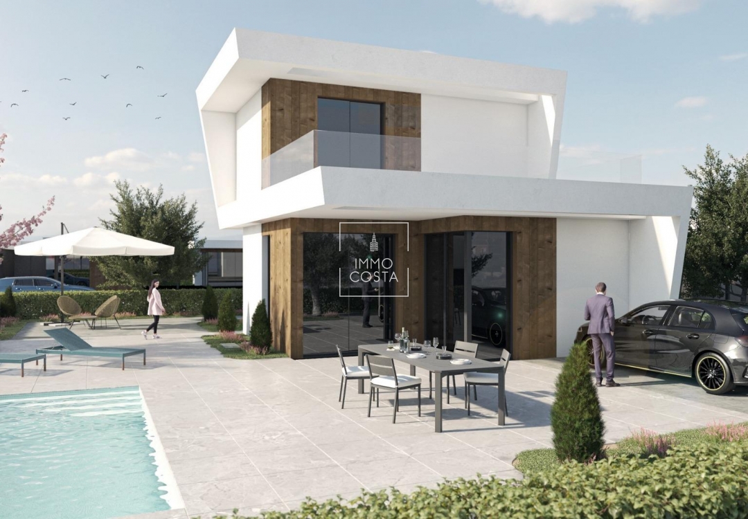 Obra nueva - Villa - Banos y Mendigo