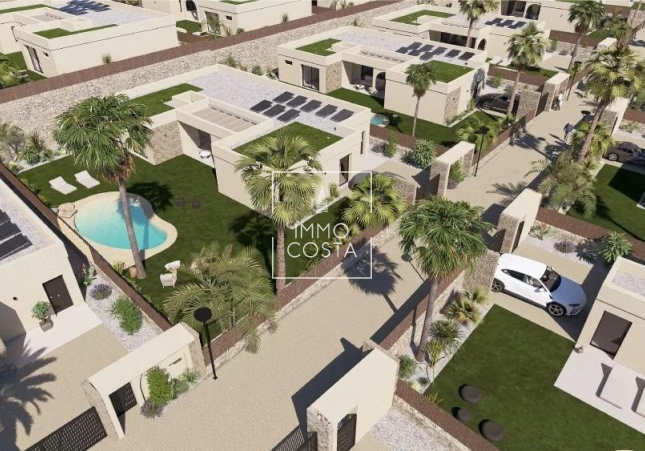 New Build - Villa - Banos y Mendigo