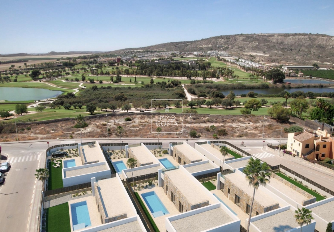 Nowy budynek - Villa - Algorfa