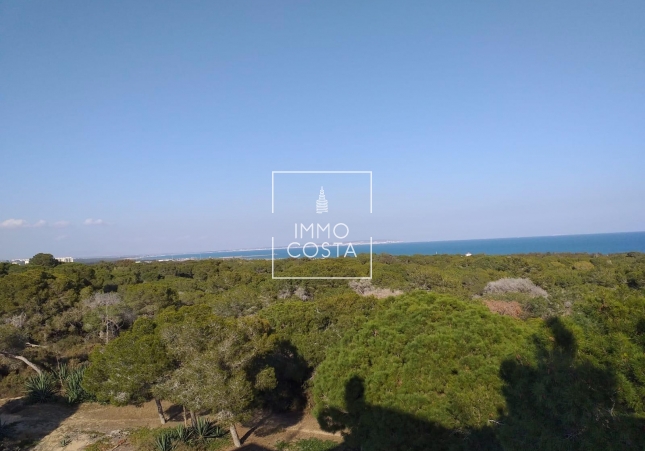Nieuwbouw Woningen - Ground floor apartment - Guardamar del Segura - Guardamar Del Segura