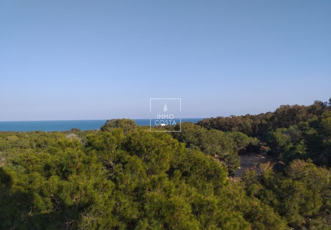 New Build - Penthouse - Guardamar del Segura - Guardamar Del Segura