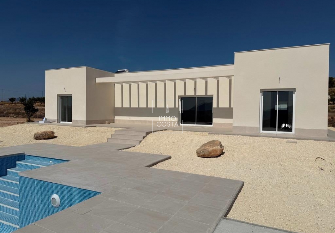 Новое здание - Villa - Pinoso