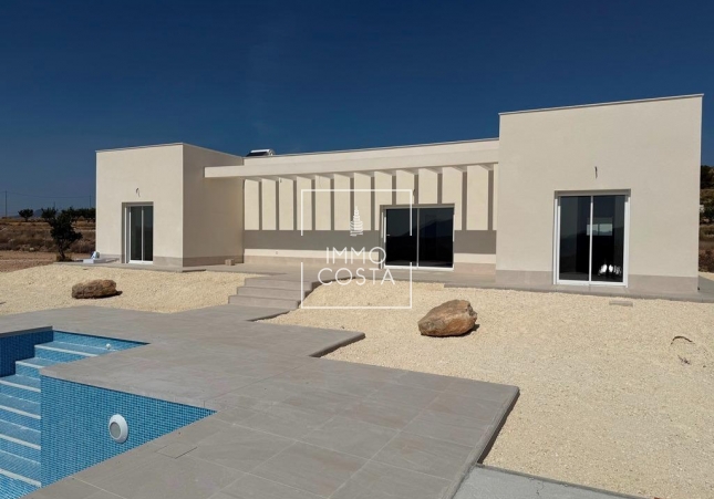 Новое здание - Villa - Pinoso