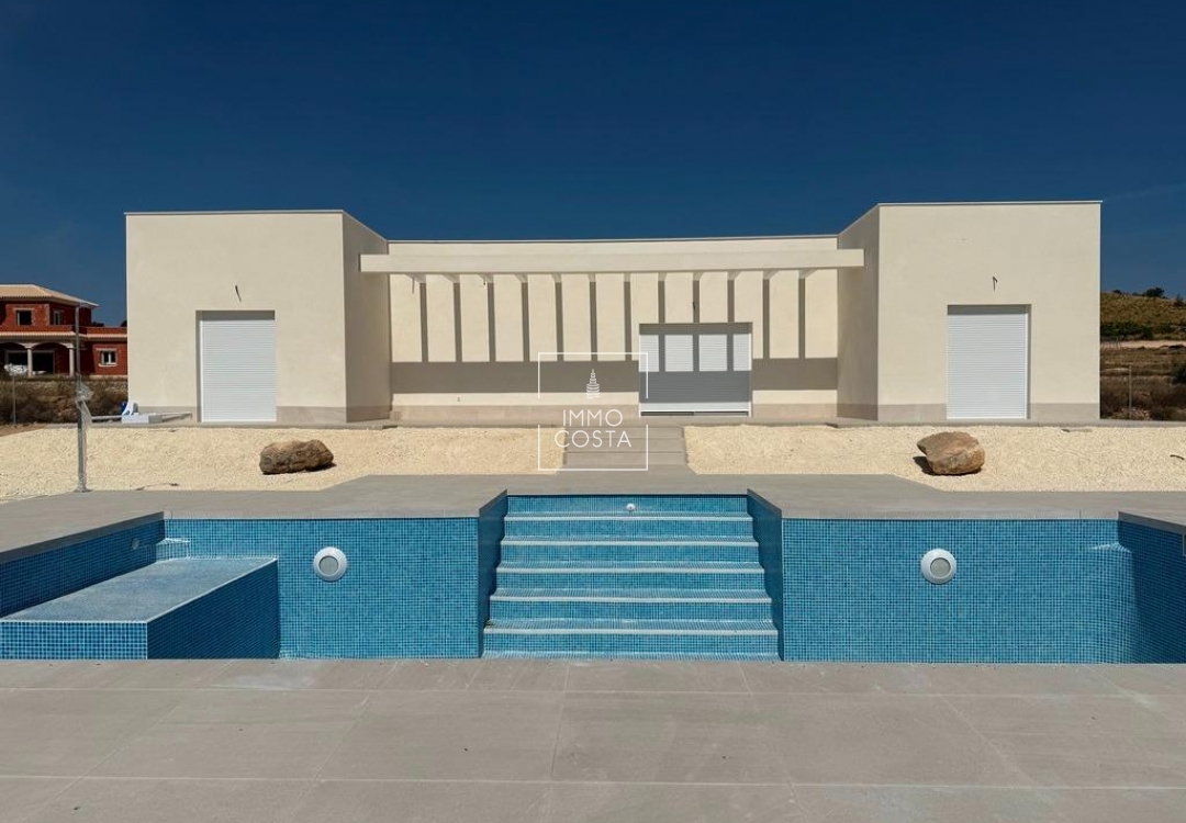 Новое здание - Villa - Pinoso