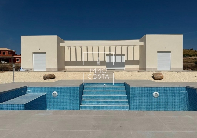 Новое здание - Villa - Pinoso
