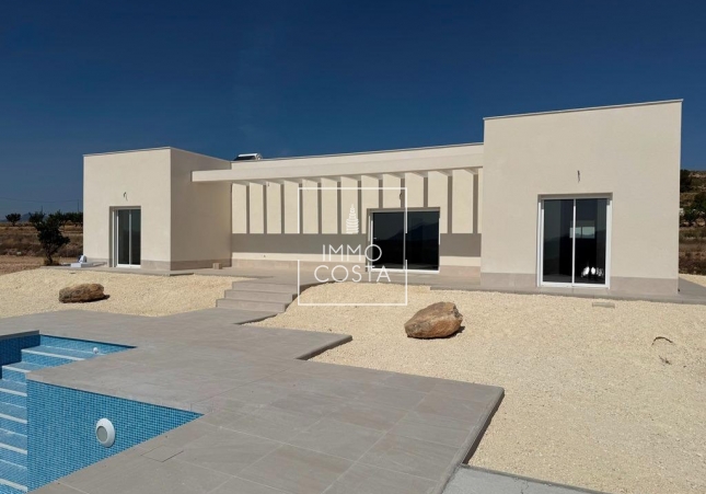 Новое здание - Villa - Pinoso