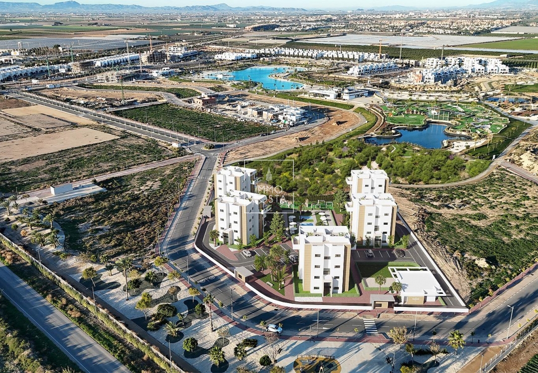 New Build - Apartment / flat - Torre Pacheco