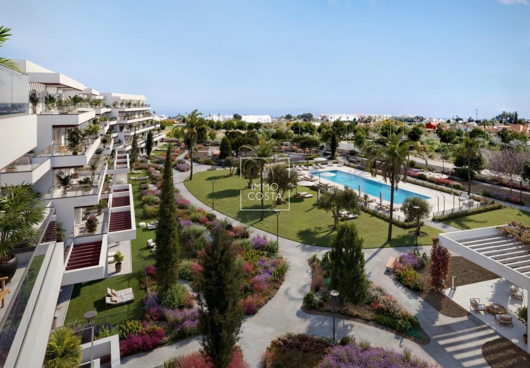 Nouvelle construction - Attique - Denia