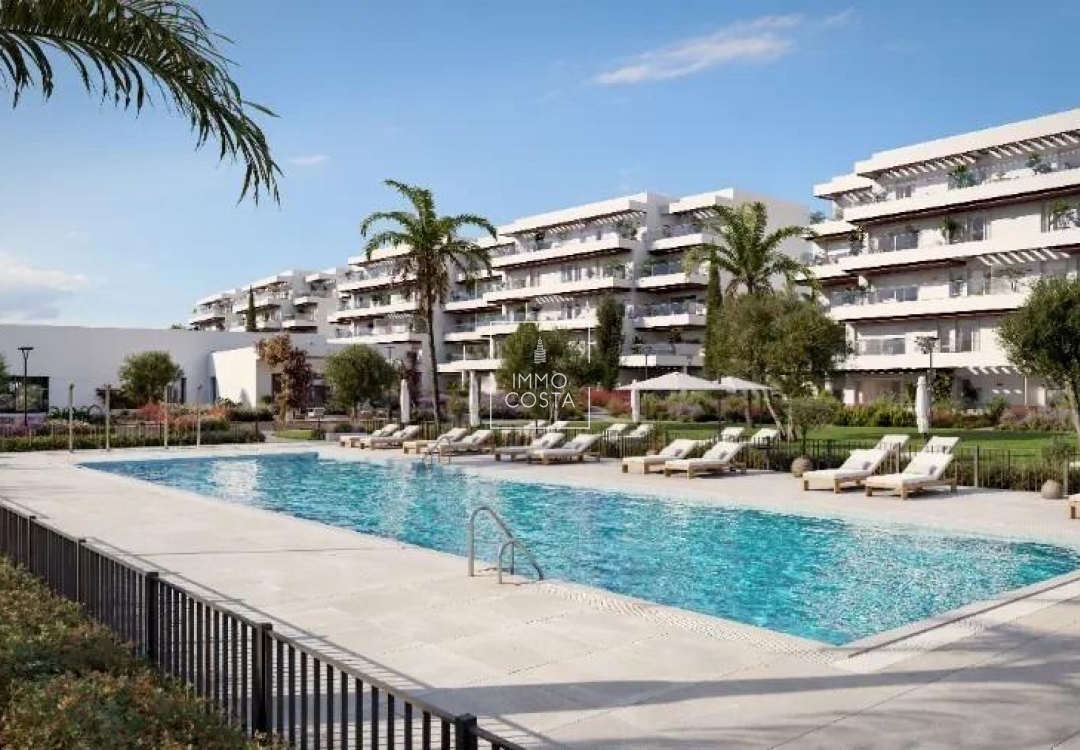 Nouvelle construction - Attique - Denia