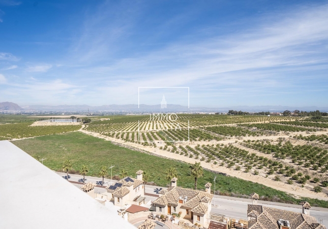 Nouvelle construction - Villa - Algorfa