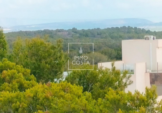 Nowy budynek - Kamienica - Orihuela Costa