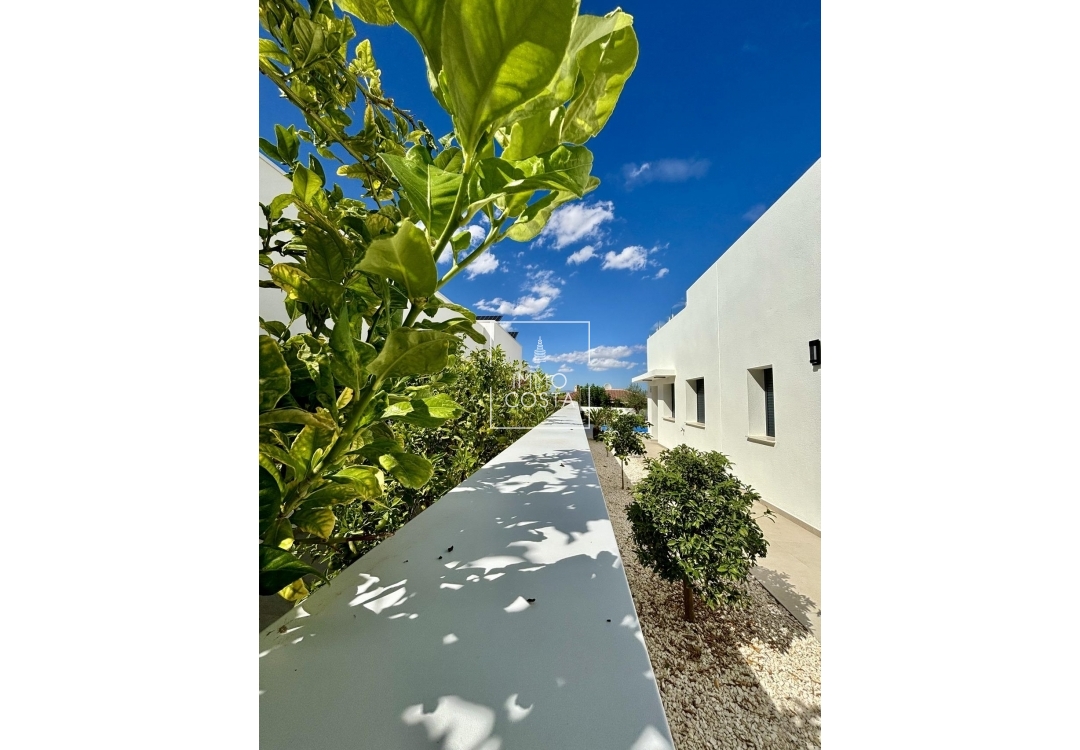 Nouvelle construction - Villa - Benijofar - Benijófar
