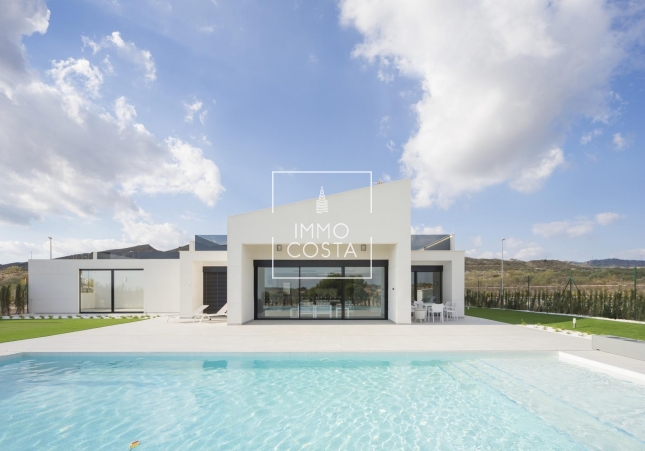 Nowy budynek - Villa - Banos y Mendigo