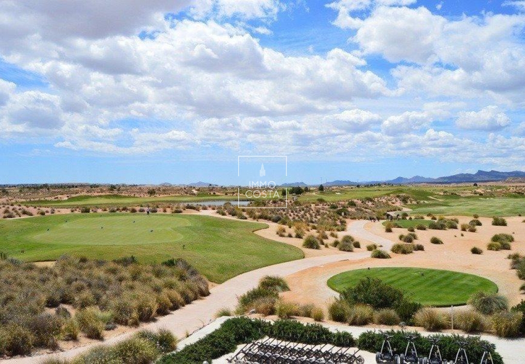 Nowy budynek - Villa - Alhama De Murcia