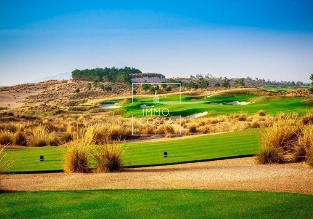 Nowy budynek - Villa - Alhama De Murcia