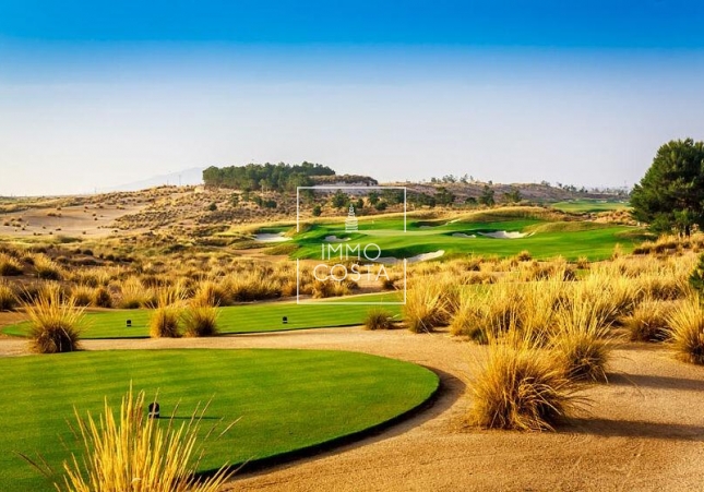 Nowy budynek - Villa - Alhama De Murcia