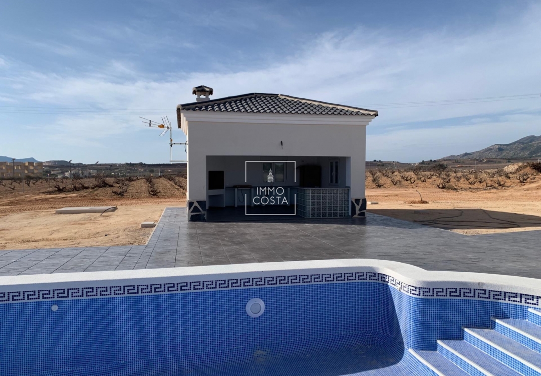 Новое здание - Villa - Pinoso