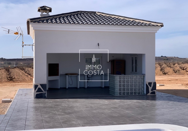 Новое здание - Villa - Pinoso
