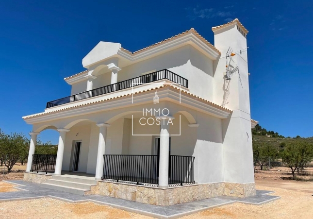 Новое здание - Villa - Pinoso