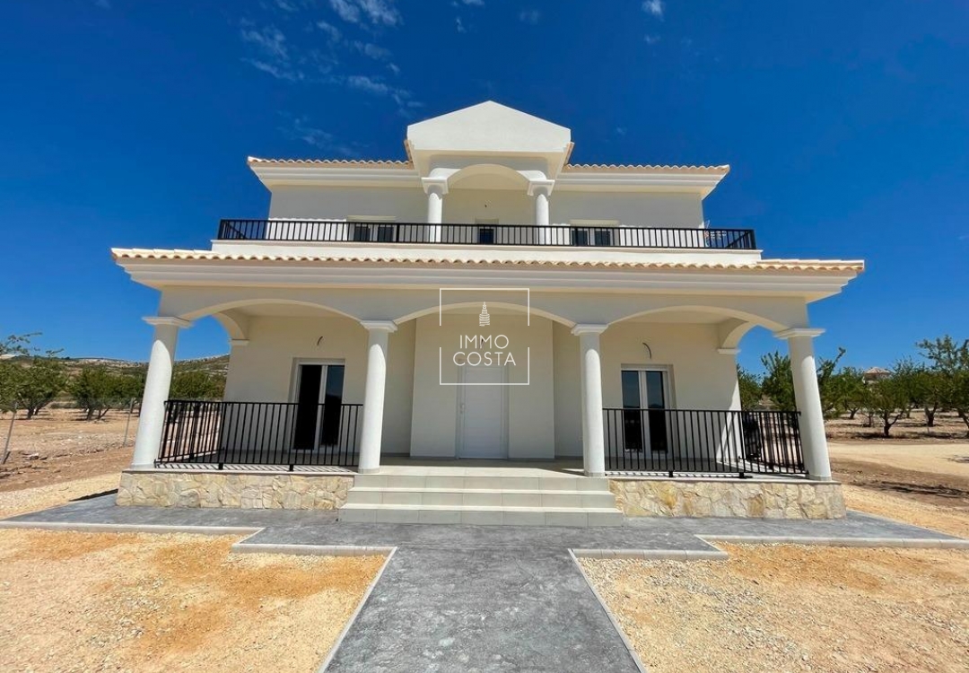 Новое здание - Villa - Pinoso