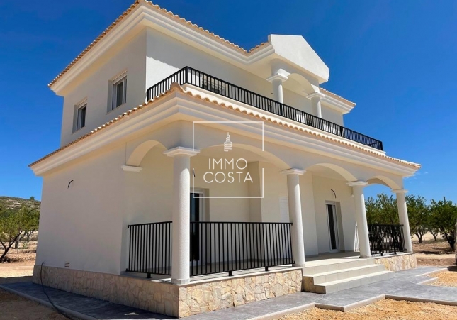 Новое здание - Villa - Pinoso