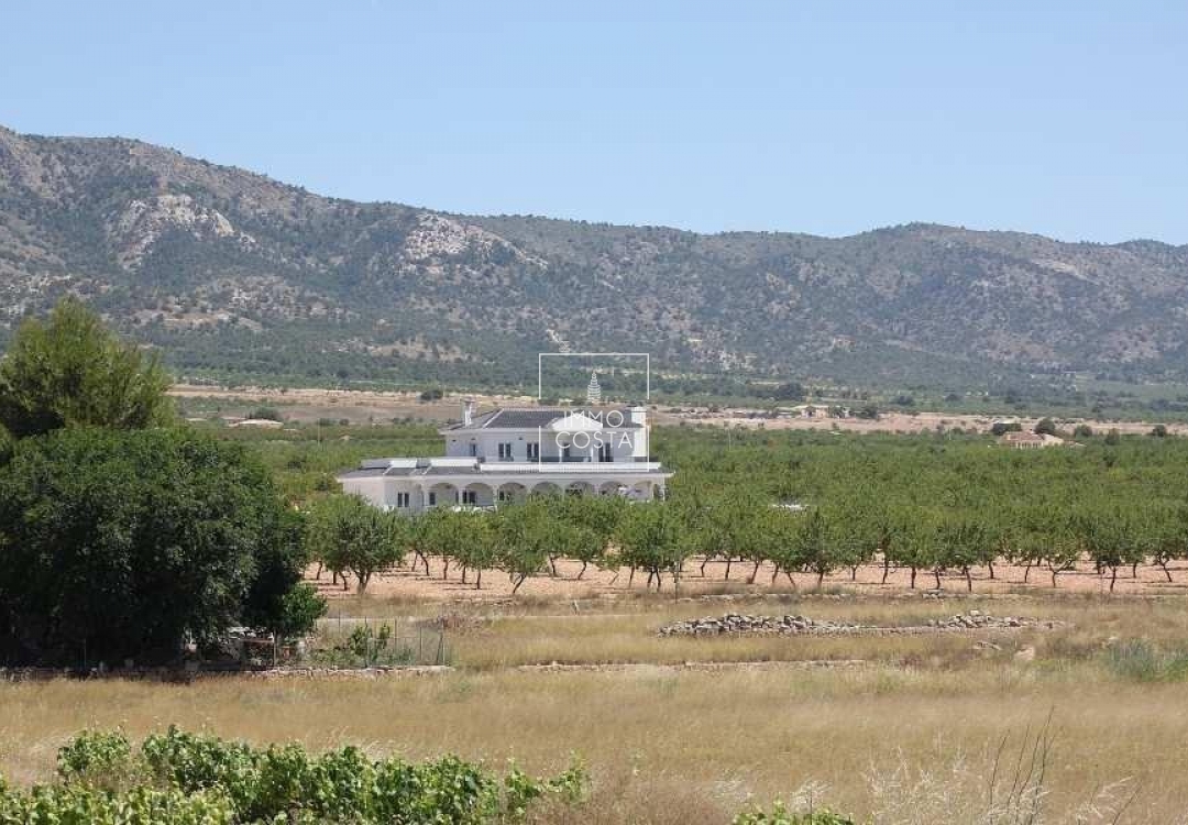 New Build - Villa - Pinoso