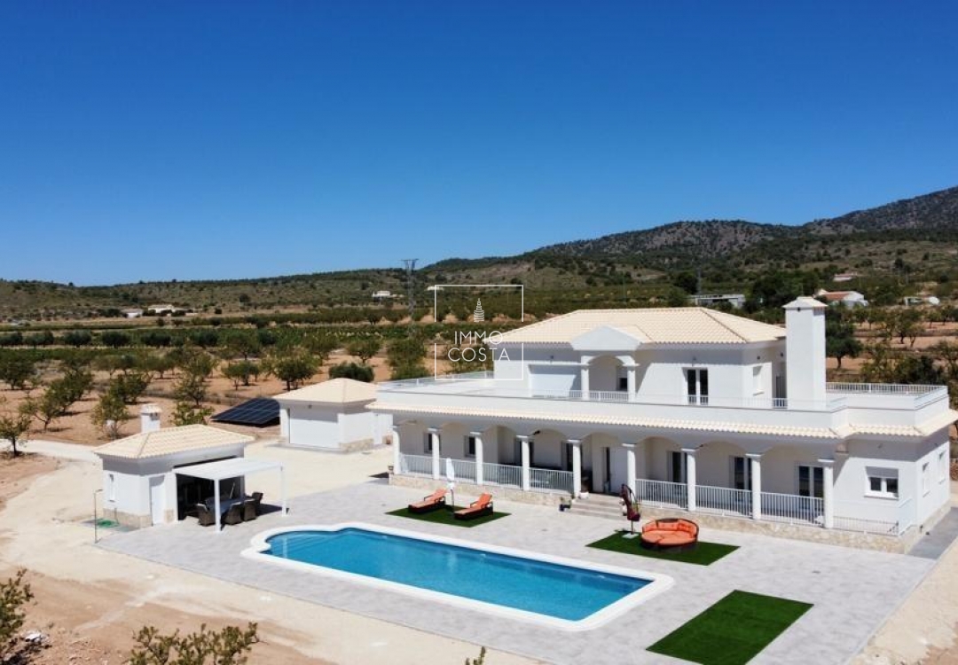 Neubau - Villa - Pinoso