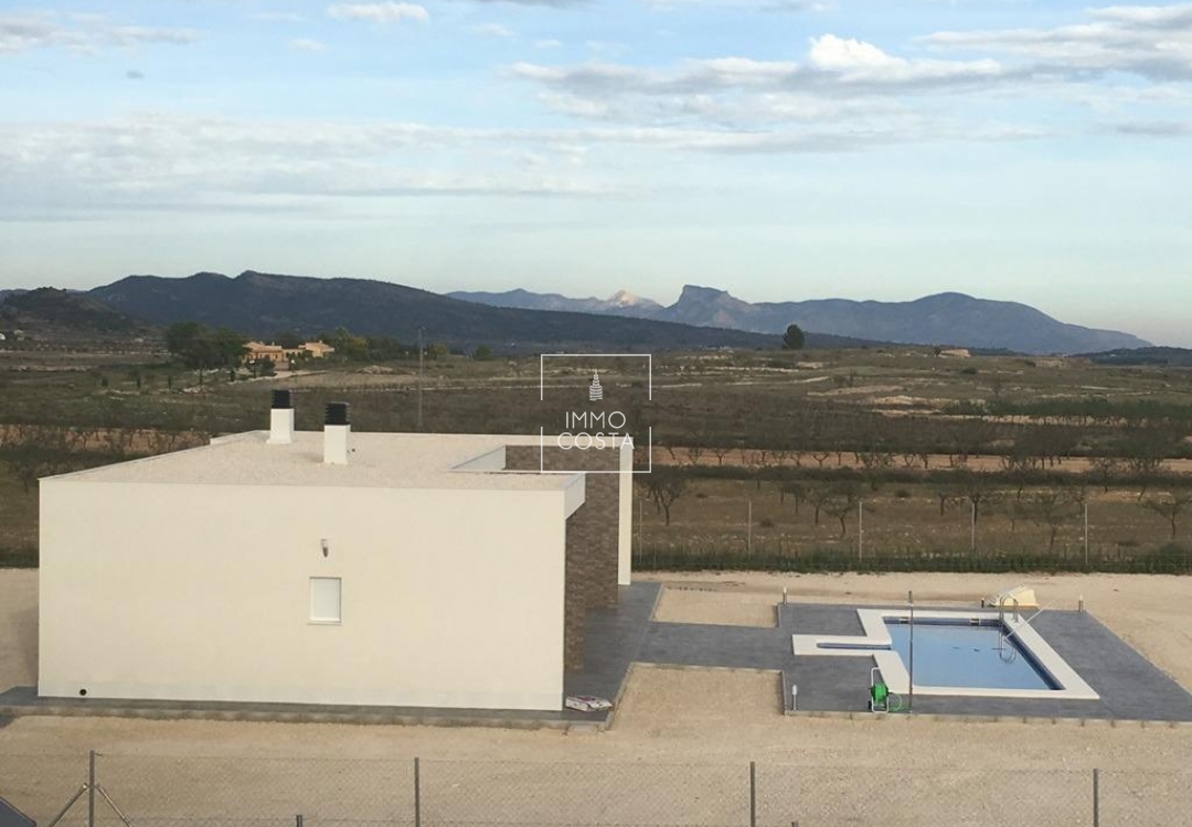 Obra nueva - Villa - Pinoso