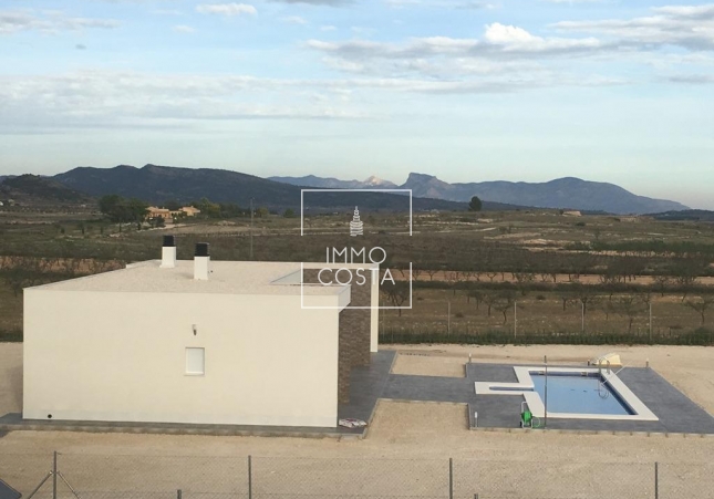 Obra nueva - Villa - Pinoso