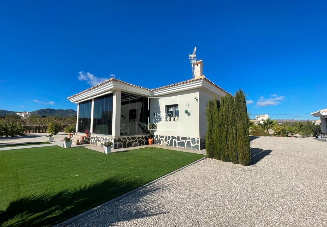 Nouvelle construction - Villa - Pinoso