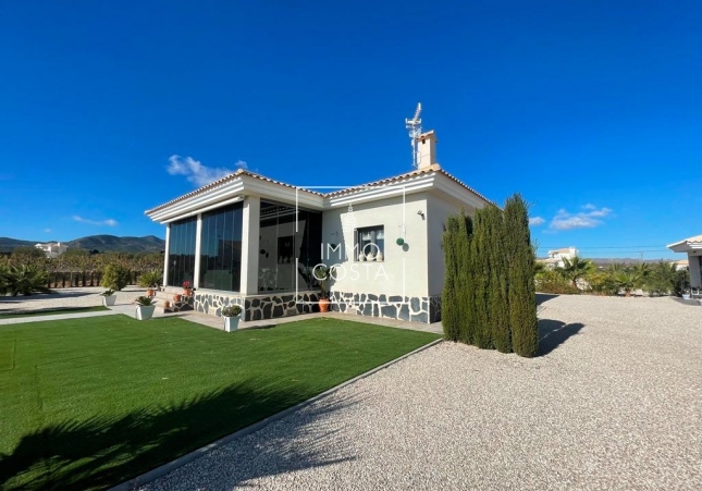Nouvelle construction - Villa - Pinoso