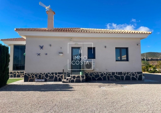 Nouvelle construction - Villa - Pinoso